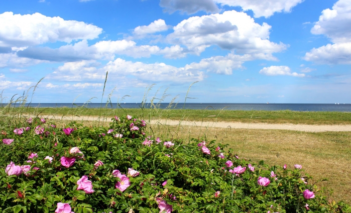 Hasselberg Ostseekult