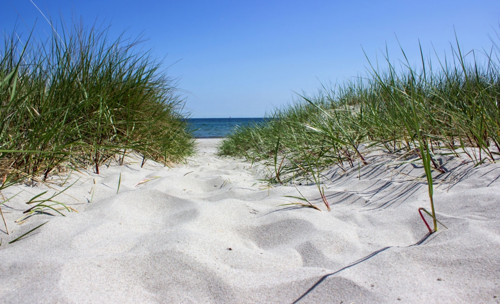 Kronsgaard Ostseekult